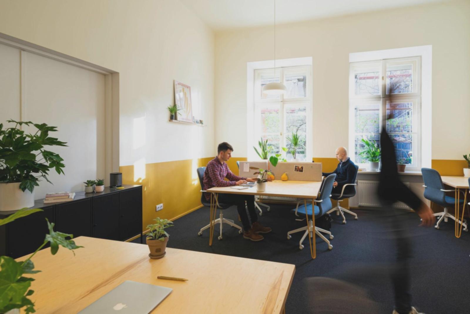 Mental health education consultation session